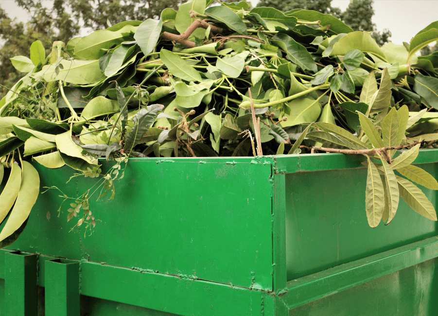 Grünabfälle entsorgen